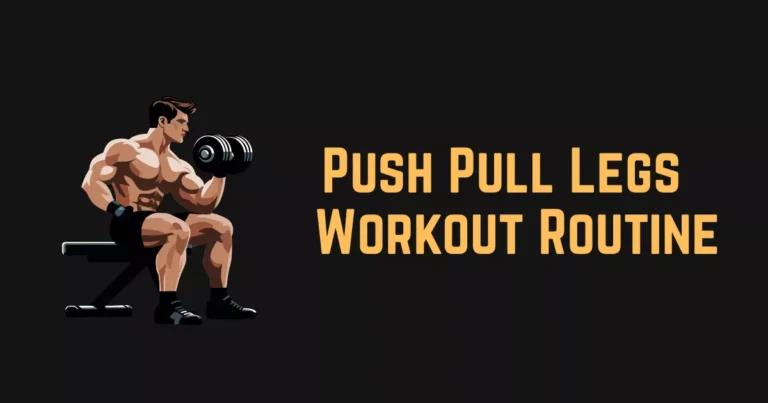 Push Pull Legs Workout Routine for Beginners